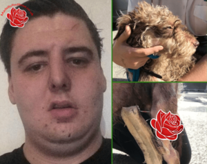 Jordan Townend – profile image