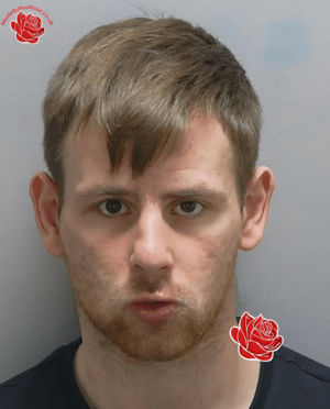 Reice Wills – profile image