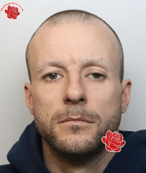 Matty Matthews/Taylor – profile image