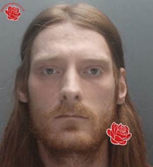 Adam Whitfield – profile image