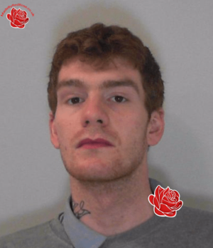 Michael Ward – profile image