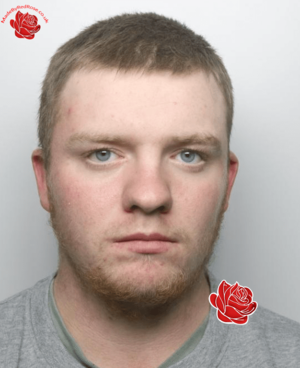 Rhys George – profile image
