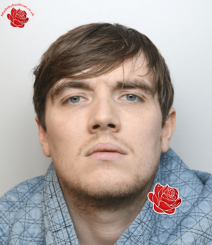 Matthew Lawton – profile image