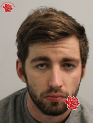 Max Ronaldson – profile image