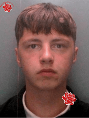 Lewis Walton – profile image