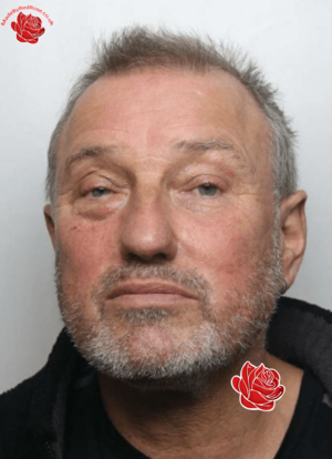 Steven Dawson – profile image