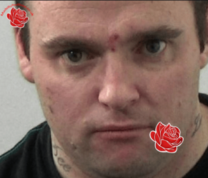 David Young – profile image