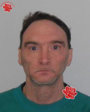 Andrew Thomson – profile image