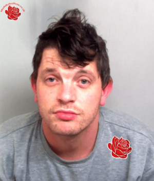 Scott Wigg – profile image