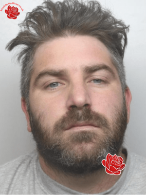 Ryan Johnson – profile image