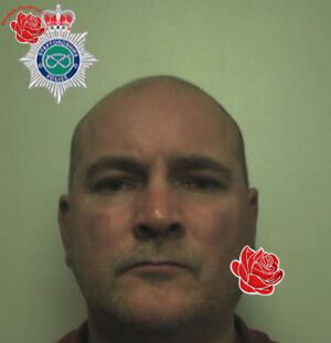 David Pedley – profile image