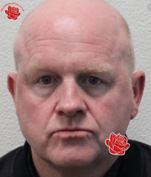 Mark Collins – profile image