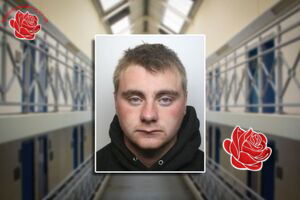 Stephen Dronfield – profile image