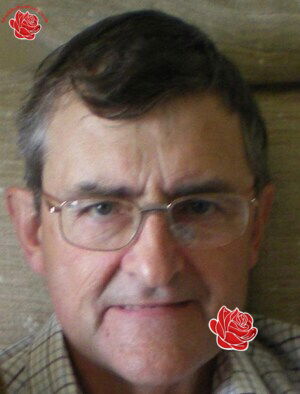 Joslin Murray – profile image