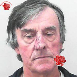 Stephen Boulton – profile image