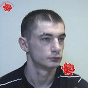 Steven Davidson – profile image