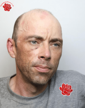 David Watts – profile image