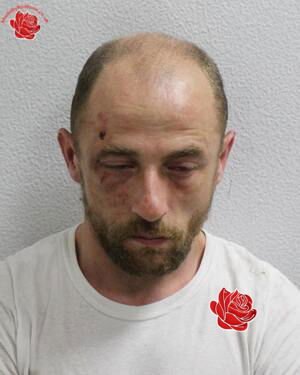 William Trotter – profile image