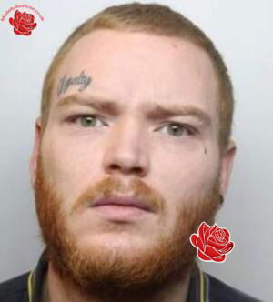 Lee Banks – profile image