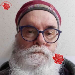 David Playle – profile image