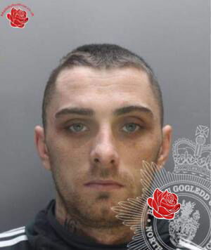 Joshua Morris – profile image