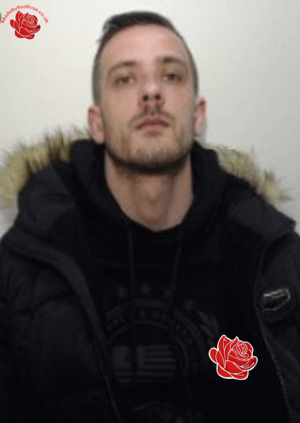 Daniel Maughan – profile image