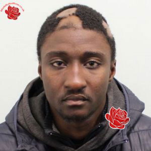 Adam Jeby – profile image
