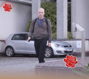 Peter Cummins – profile image