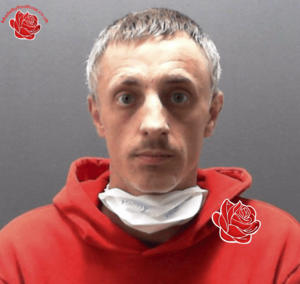 Simon Mewse – profile image