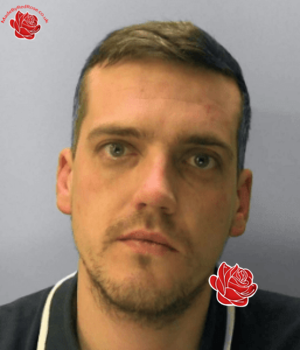 Mark Stevens – profile image