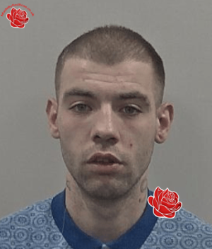 Henry Froggatt – profile image