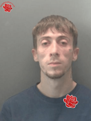 Harry Agate – profile image