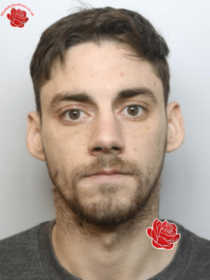 Daniel Delooze – profile image