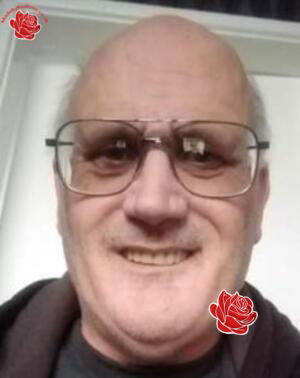 Stephen Ross – profile image