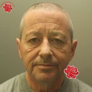 Mark Cox – profile image