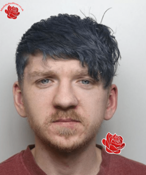 Thomas Howarth – profile image