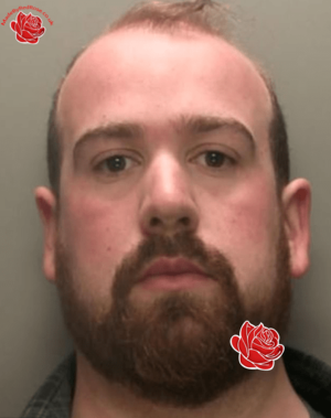 Andrew Cook – profile image
