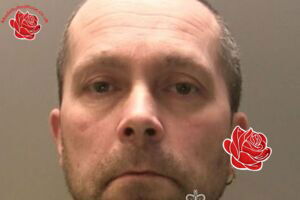 David Jones/John Powell – profile image
