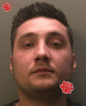 Sergiu Popovici – profile image