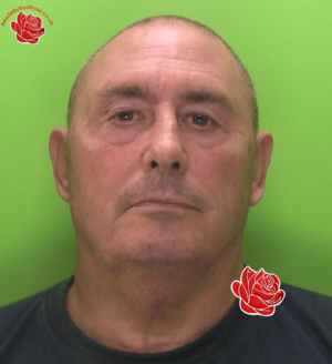 Paul Jarvis – profile image
