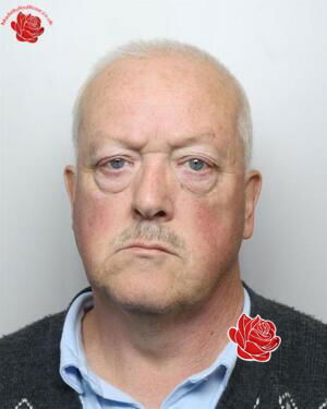 David Stephens – profile image
