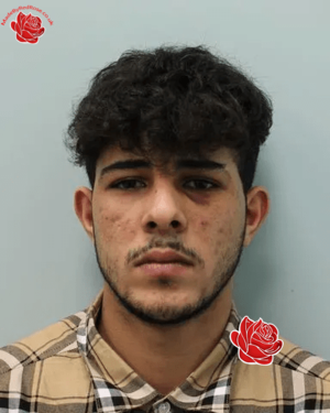 Rami Othmane – profile image