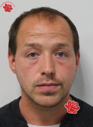 Daniel Archbold – profile image