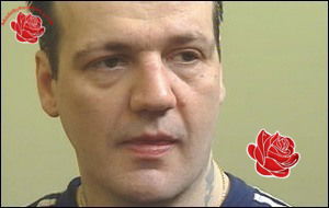 Steven Beech – profile image