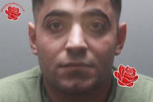 Esmail Hussaini – profile image