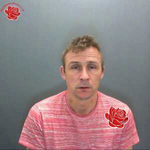 Matthew Nicholls – profile image