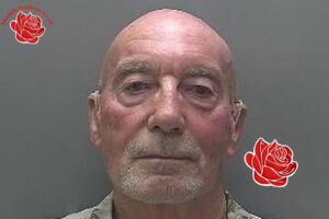 Harold Salt – profile image