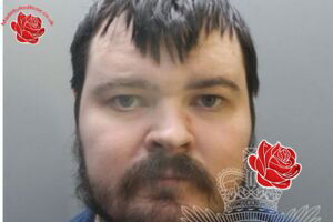 Callum McDougall – profile image