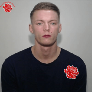 Stephen Godridge – profile image