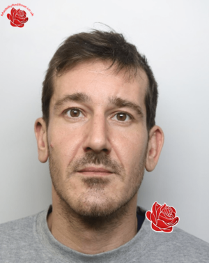 Stefano Violante – profile image